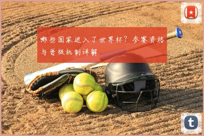 哪些国家进入了世界杯?参赛资格与晋级机制详解