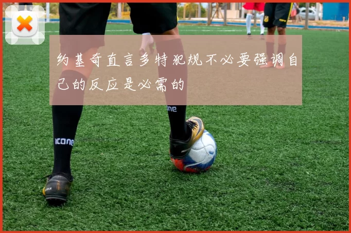 约基奇直言多特犯规不必要强调自己的反应是必需的