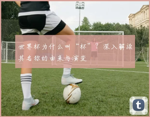 世界杯为什么叫“杯”？深入解读其名称的由来与演变