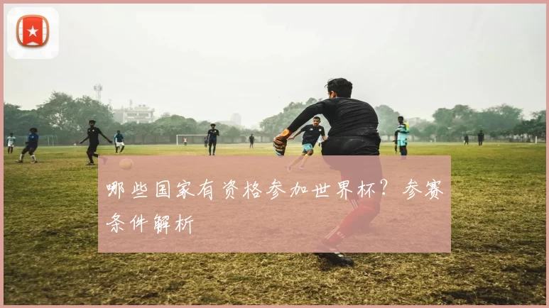 哪些国家有资格参加世界杯？参赛条件解析