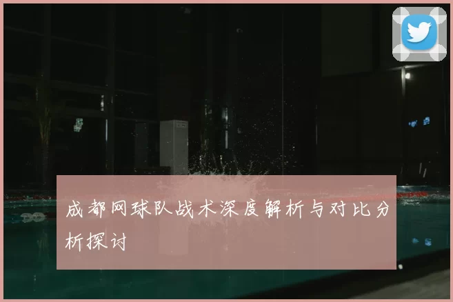 成都网球队战术深度解析与对比分析探讨