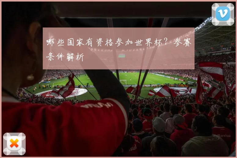 哪些国家有资格参加世界杯?参赛条件解析